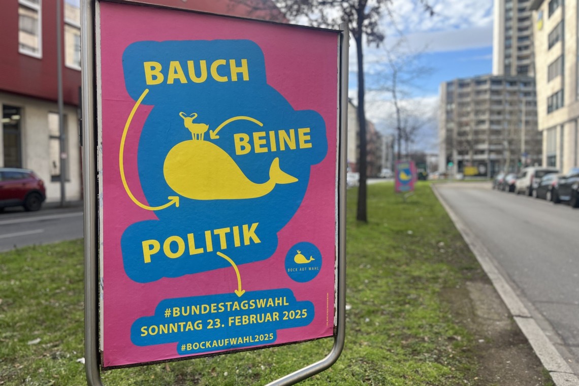 Bock auf Wahl 2025-1